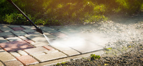 Best Roof Washing  in Delavan, IL